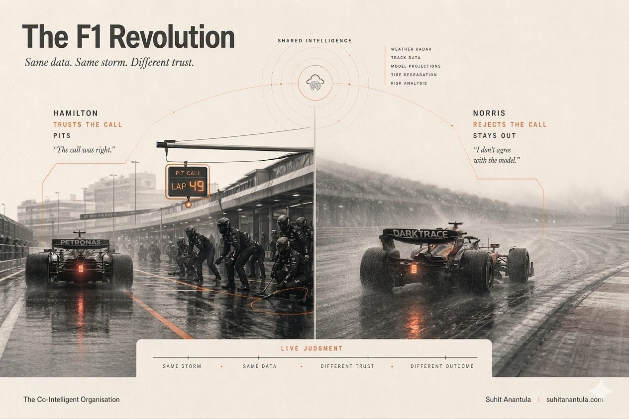 Hamilton and Norris at Sochi on lap 49: same data, same storm, different trust.