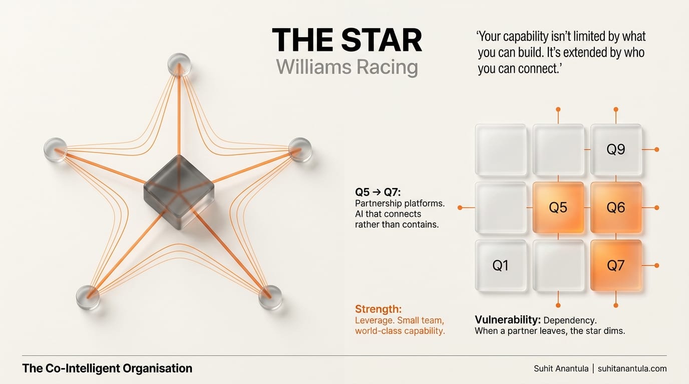 Fig 04.4 — The Star: networked leverage